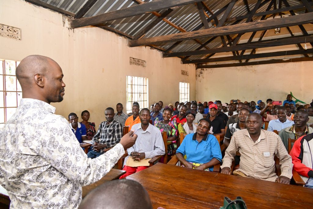 President Museveni Boosts Buikwe Groups With Heifers