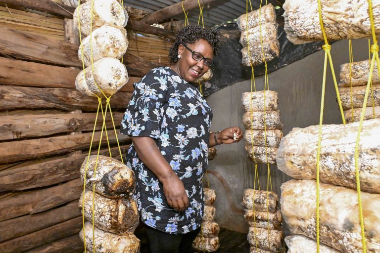 Mushroom Growers Appreciate President Museveni For The Farming Inspiration, Appeal For More Support
