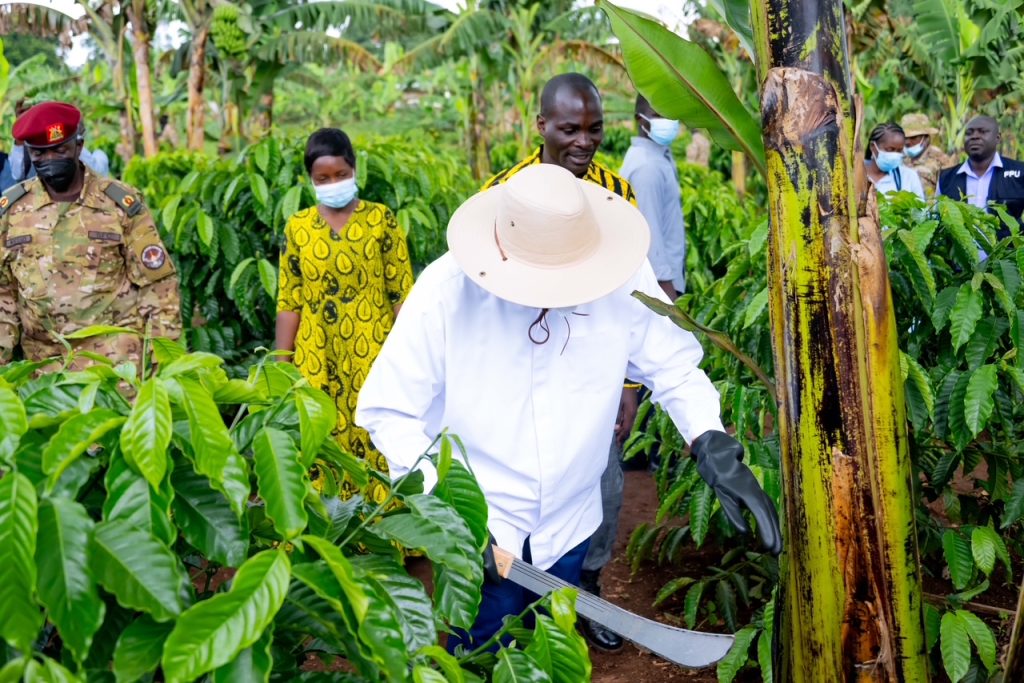 President Museveni Launches Four-Acre Model Campaign In Greater Kibaale Districts