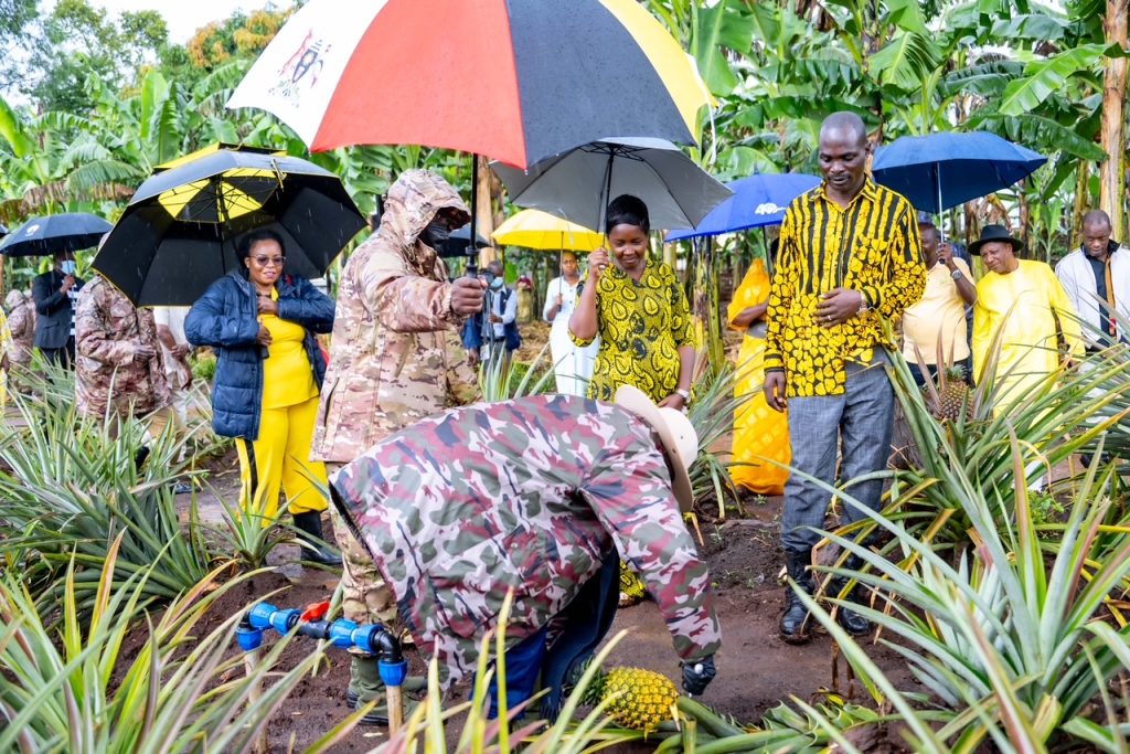 President Museveni Launches Four-Acre Model Campaign In Greater Kibaale Districts