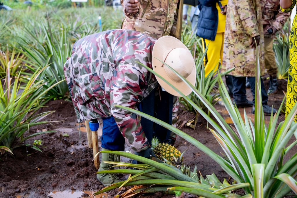 President Museveni Launches Four-Acre Model Campaign In Greater Kibaale Districts