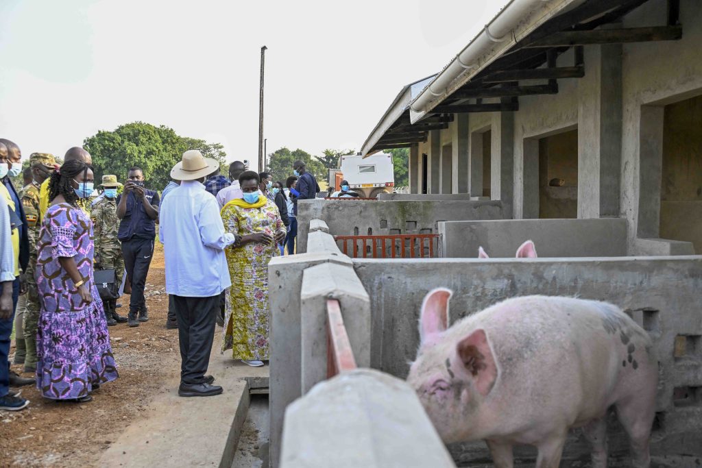 President Museveni PDM regional wealth creation assessment tour in Teso sub-region