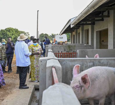 President Museveni PDM regional wealth creation assessment tour in Teso sub-region