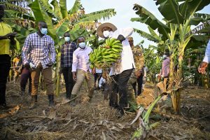 President Museveni PDM regional wealth creation assessment tour in Teso sub-region