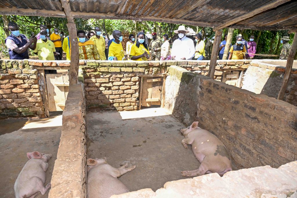 President Museveni on a performance assessment zonal tour in Bukedi Subregion - Nov 2024