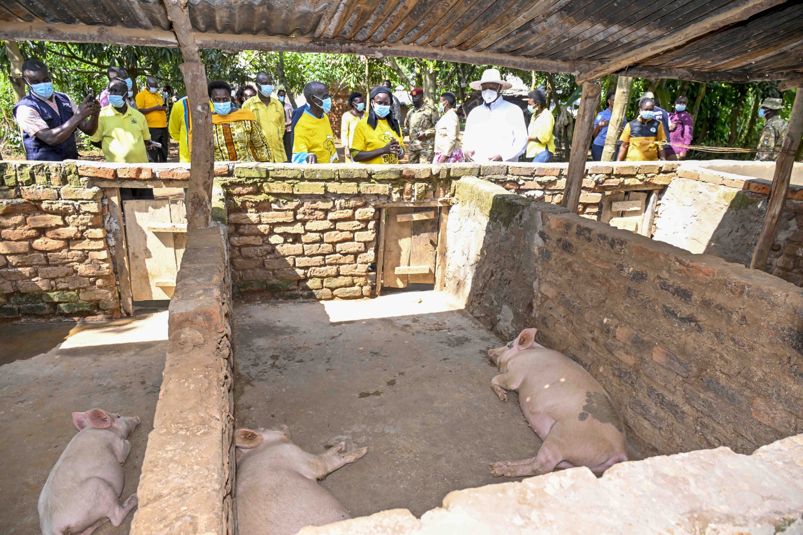 President Museveni on a performance assessment zonal tour in Bukedi Subregion - Nov 2024