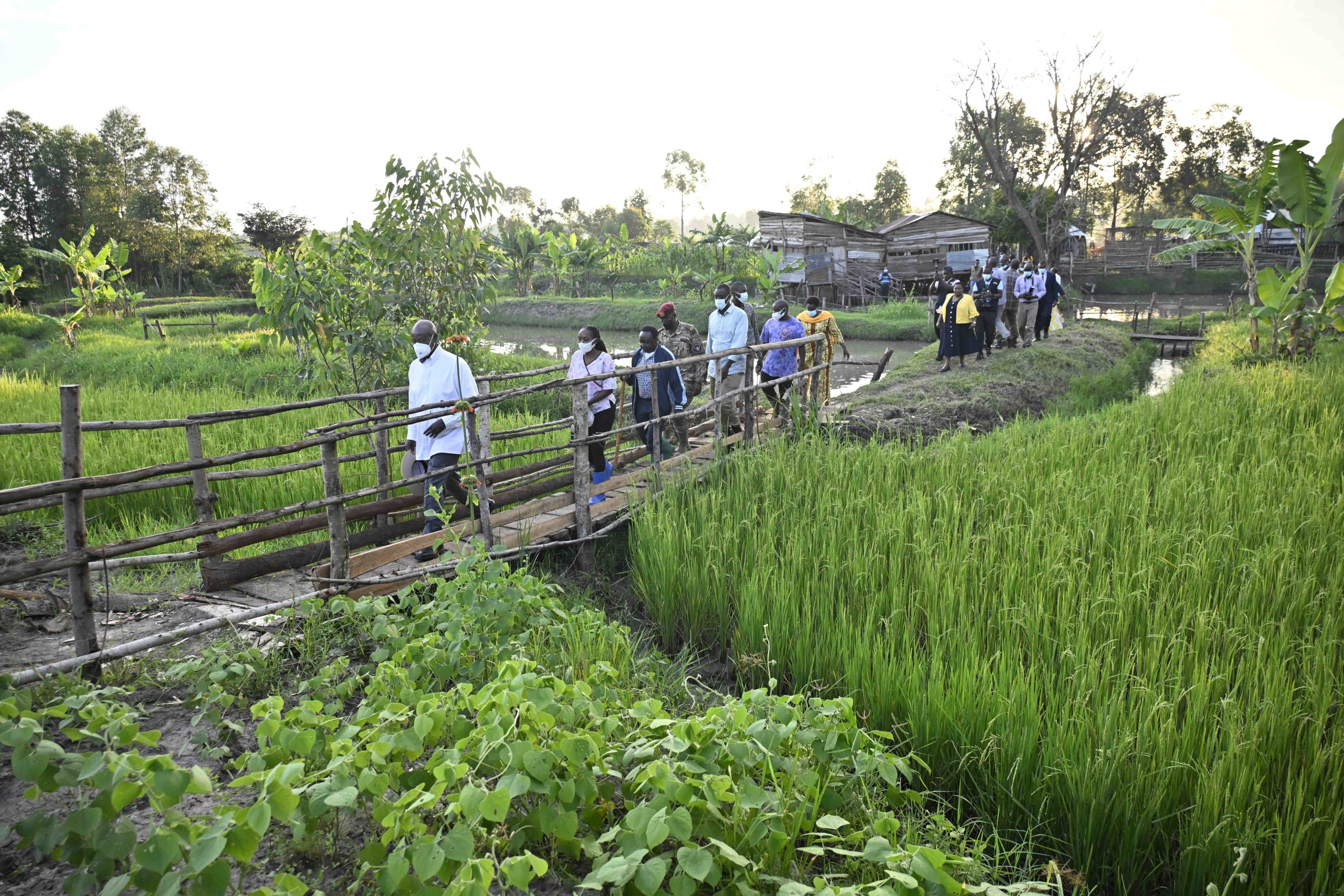 President Museveni Urges Budaka Residents To Pick A Leaf From Successful Farmers In The District