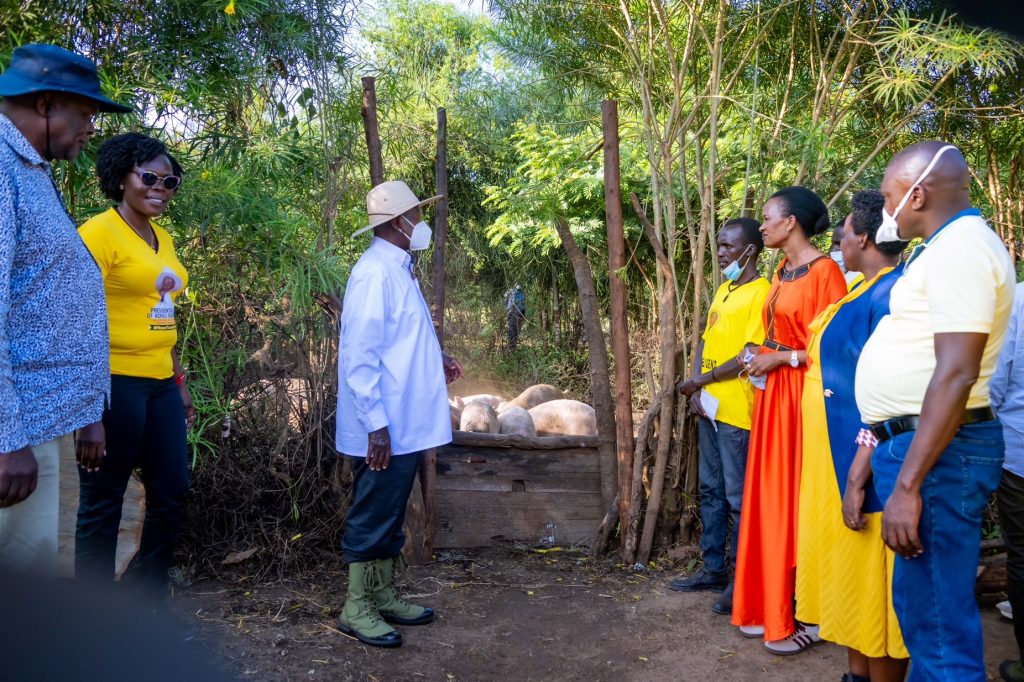 President Museveni Visits Lokong Emmanuel Losike a piggery farmer in Kakomokwee Village Loregae Nakapiripirit District