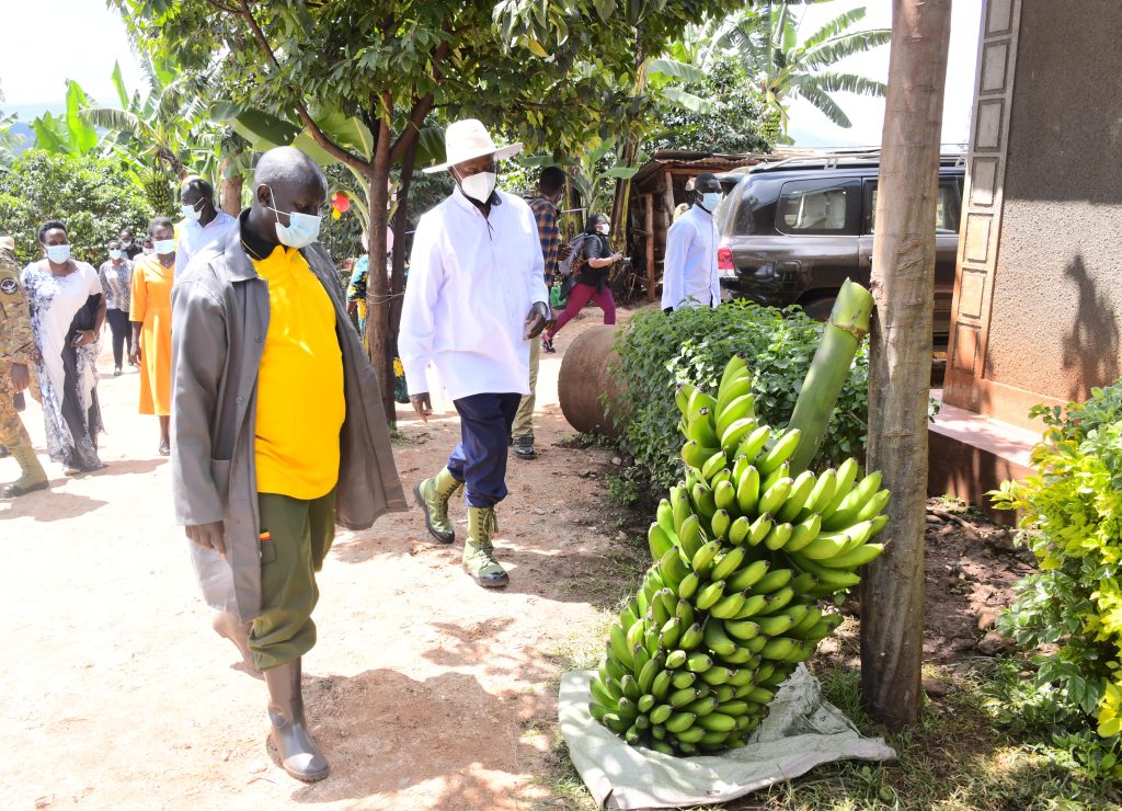 President Museveni at at the home of Mr Nicholas Chelimo a model farmer in Ngeny Village Kapkoros Parish in Bukwo Sebei Sub Region