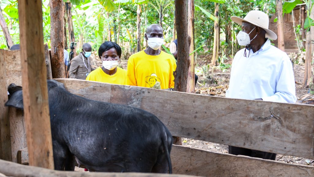 President Museveni in Busituma 1 village Makenya Parish Makenya Sub-County Butiru County in Manafwa district at the home of Mr John Namukhono