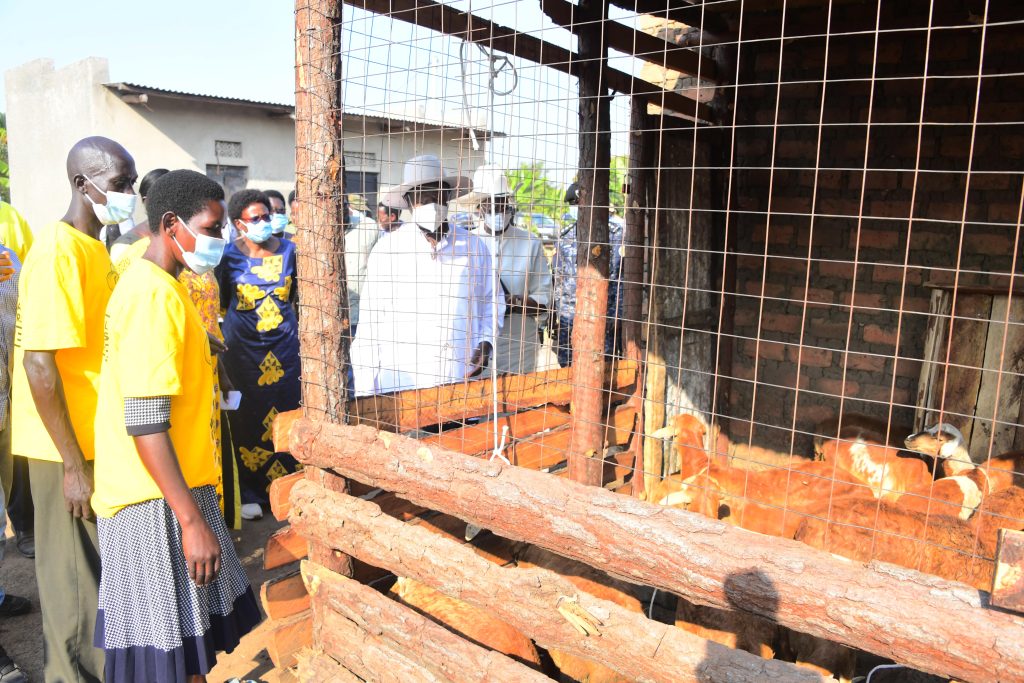 Farmer Apio Vicky in Lira - President Museveni Impressed By Progressive Impact Of PDM In Lira