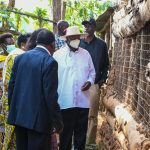 Kigezi PDM Tour - Akampurira Evas - a poultry farmer - Bubare Rubanda District