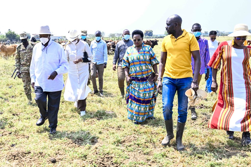 PDM performance assessment tour 2025 Lango sub-region - Jowel Okello a model farmer in Amolatar District