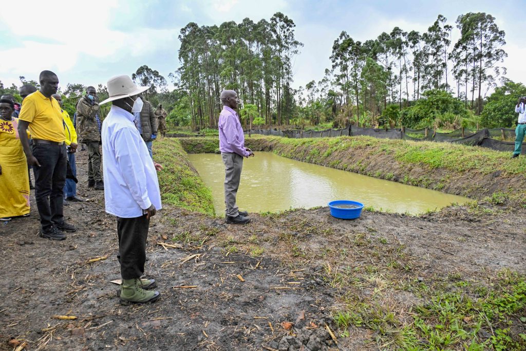 President Museveni visits PDM model farmer Mr Mpagazihe Jackson - Kikuube District - 18-Mar-2025