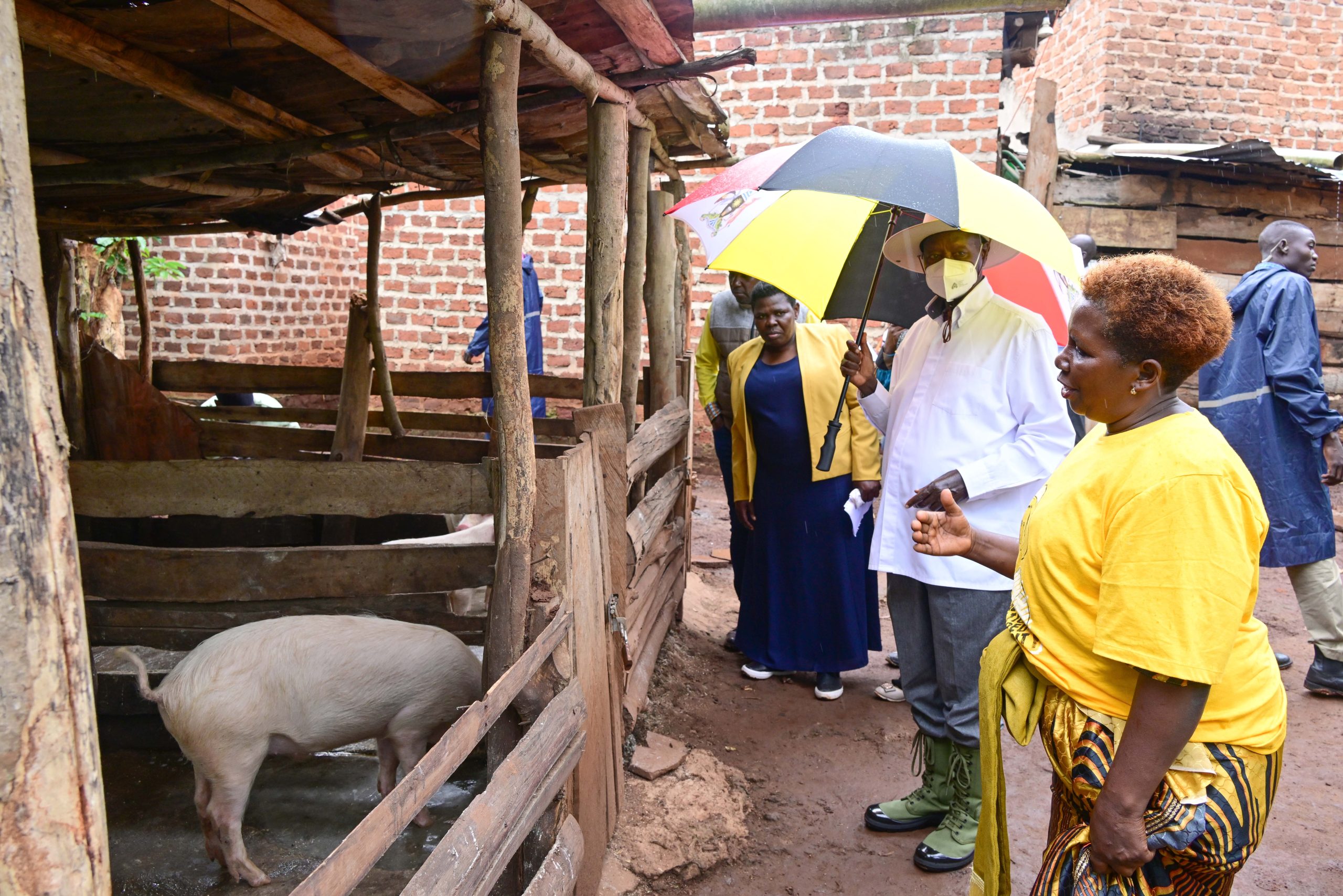 PDM beneficiary Damali Nakayenga L shows President Museveni part of her piggery project at her home in Kikoma Wobulenzi town on Tuesday PPU Photo - 20-May-2025