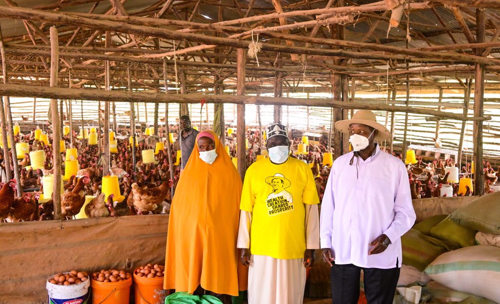 President Museveni inspects Haji Muhamad Zziwa's poultry farm with over 2000 birds in Kamengo, Mpigi district during his PDM assessment tour of greater Mpigi on Monday June 16, 2025. PPU Photo - State House Uganda President Museveni inspects Haji Muhamad Zziwa's poultry farm with over 2000 birds in Kamengo, Mpigi district during his PDM assessment tour of greater Mpigi on Monday June 16, 2025. PPU Photo