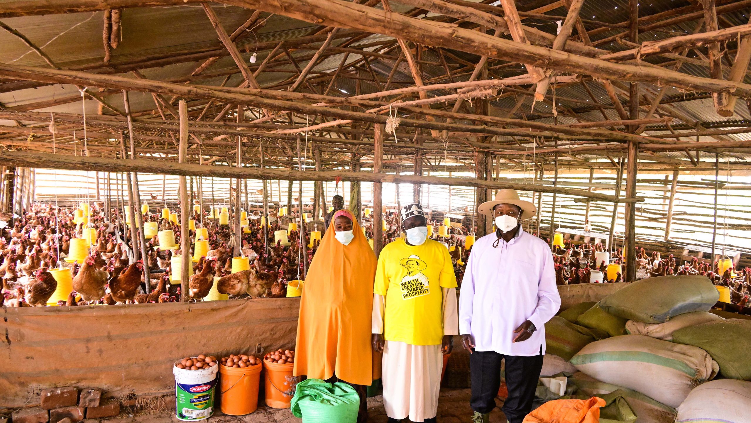 President Museveni inspects Haji Muhamad Zziwa's poultry farm with over 2000 birds in Kamengo, Mpigi district during his PDM assessment tour of greater Mpigi on Mon June 16 2025. PPU Photo