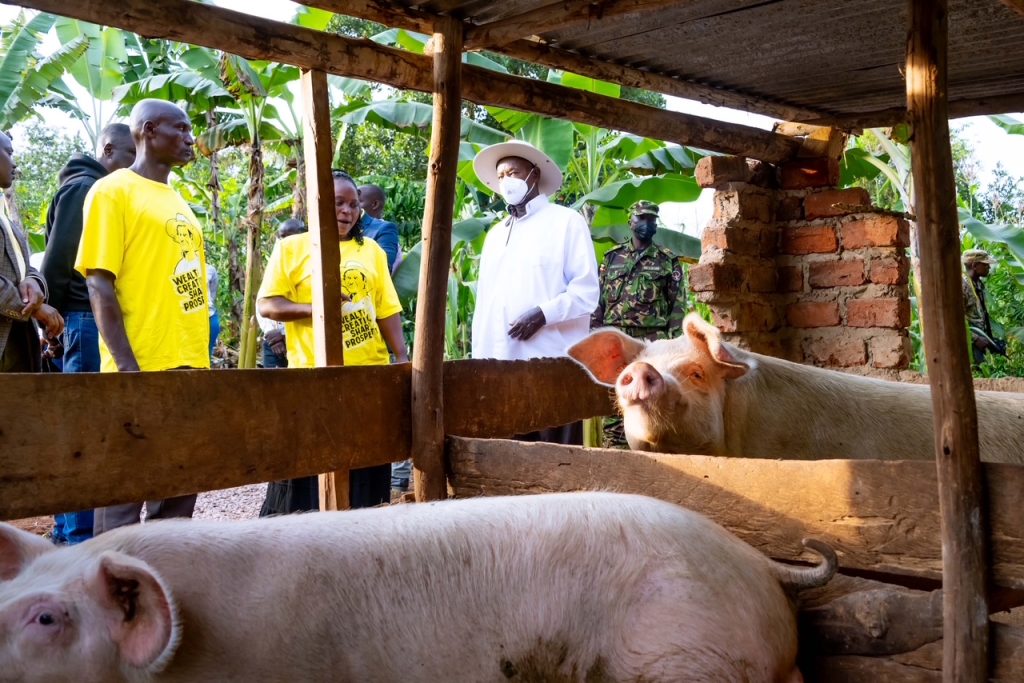 President Museveni Visists Ms Nampa A PDM Beneficiary In Mangaliba Village - Nakisunga Sub-County, Mukono - 19-Jun-2025