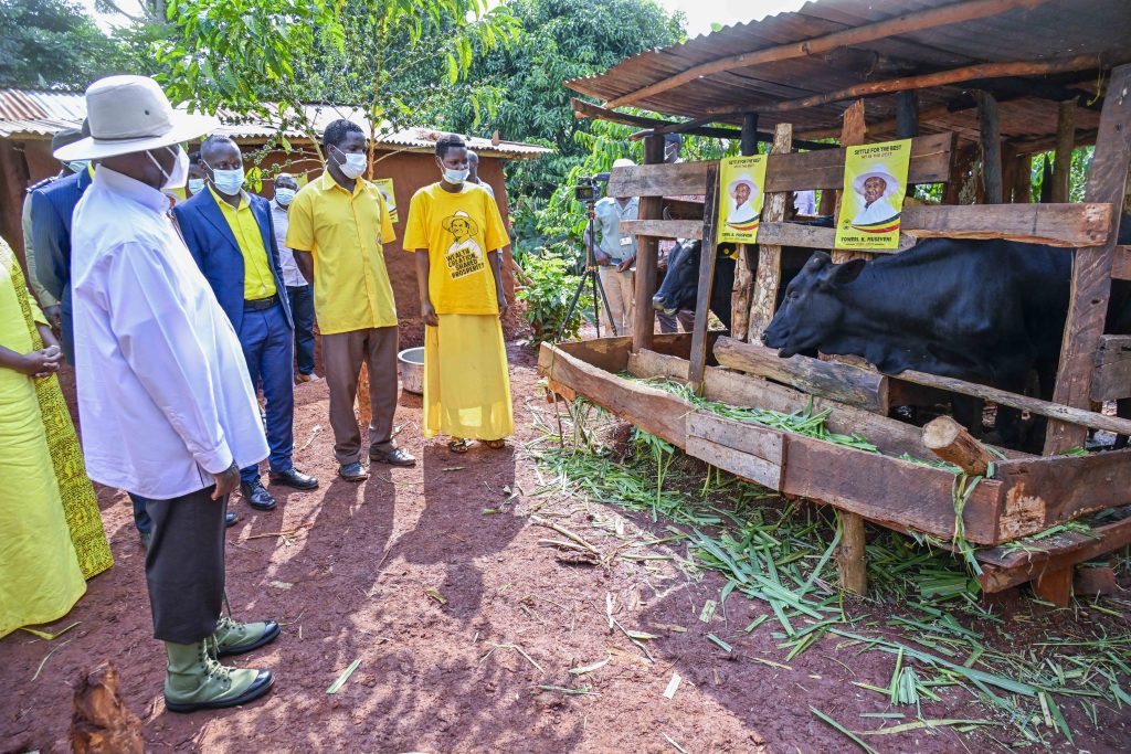 President Museveni Visits Muhereza Wako a PDM Beneficiary in Buvuma District - 19-Jun-2025 - State House Uganda President Museveni Visits Muhereza Wako a PDM Beneficiary in Buvuma District - 19-Jun-2025
