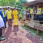 President Museveni Visits Muhereza Wako a PDM Beneficiary in Buvuma District - 19-Jun-2025