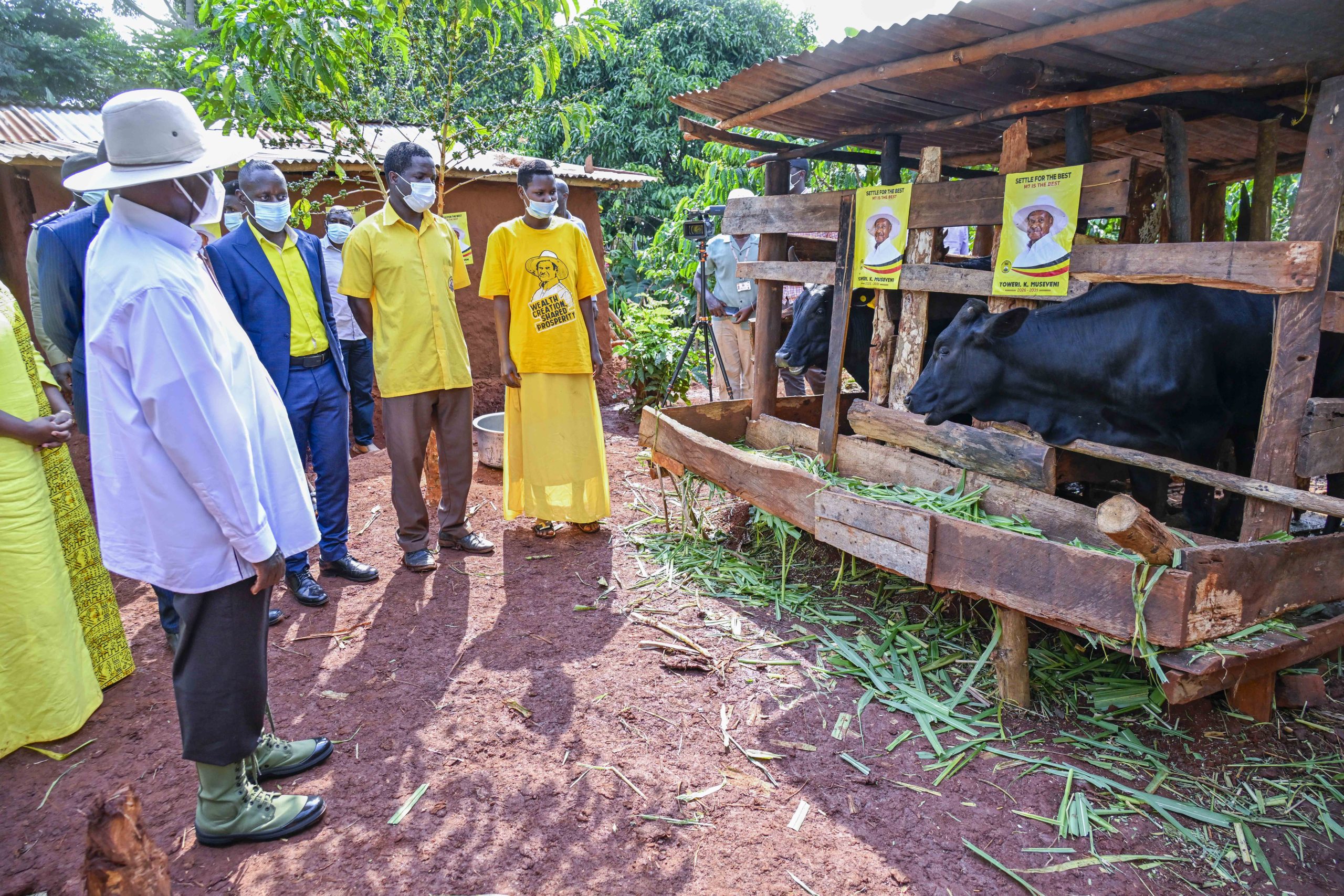 President Museveni Visits Muhereza Wako a PDM Beneficiary in Buvuma District - 19-Jun-2025