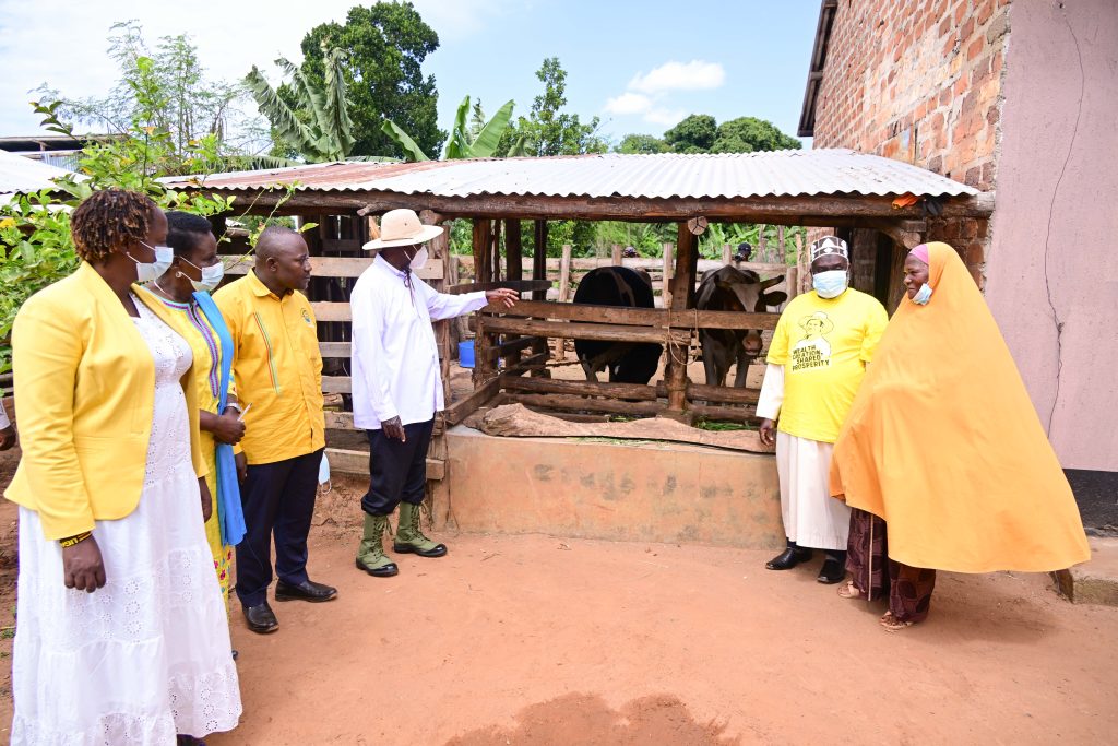 President Museveni inspects Haji Muhamad Zziwas cows at his farm in Kamengo in Mpigi district during his PDM assessment tour on Monday June 16 2025 PPU Photo - State House Uganda President Museveni inspects Haji Muhamad Zziwas cows at his farm in Kamengo in Mpigi district during his PDM assessment tour on Monday June 16 2025 PPU Photo