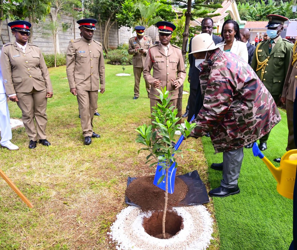 President Museveni plants a tree seedling at the National Defence College of Kenya in Nairobi on Thursday shortly after giving a lecture of opportunity to officers undergoing a military course on 31st July 2025. PPU Photo
