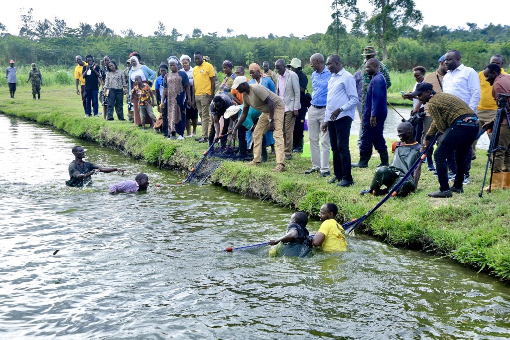 State House Comptroller Ms Jane Barekye Launches Fish Selling At Mengo Zonal Presid Hub In Kayunga - 20-Apr-2026