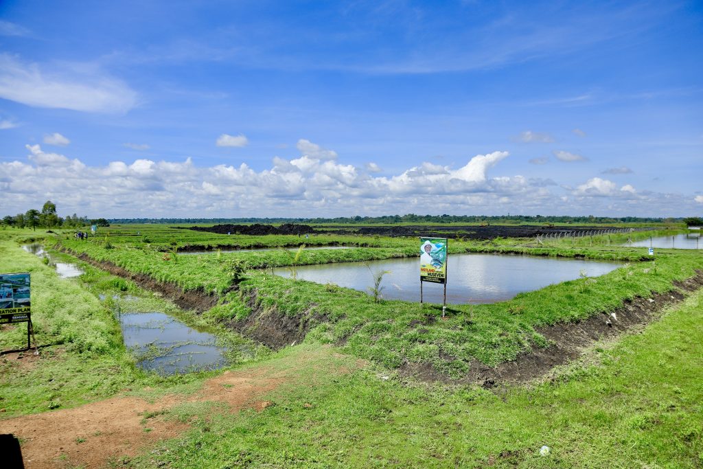 State House Comptroller Ms Jane Barekye Visits Limoto Fish Farm - 20-Apr-2026