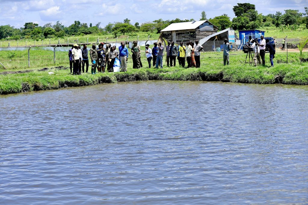 State House Comptroller Ms Jane Barekye Visits Limoto Fish Farm - 20-Apr-2026