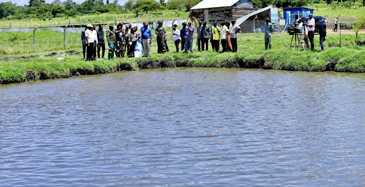 State House Comptroller Ms Jane Barekye Visits Limoto Fish Farm - 20-Apr-2026