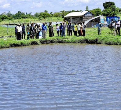 State House Comptroller Ms Jane Barekye Visits Limoto Fish Farm - 20-Apr-2026