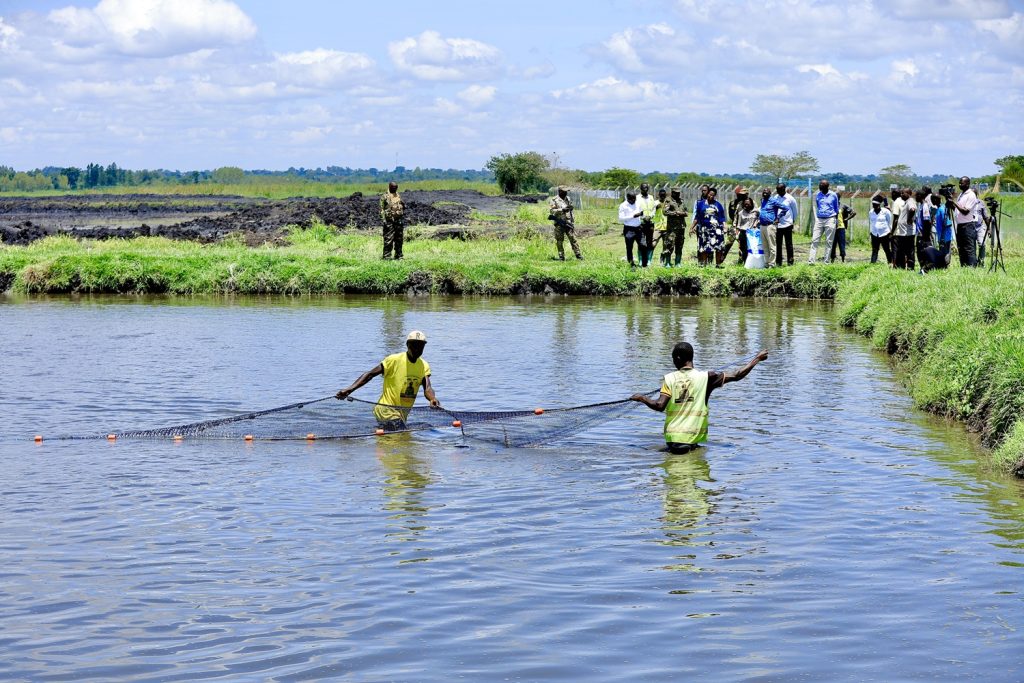 State House Comptroller Ms Jane Barekye Visits Limoto Fish Farm - 20-Apr-2026